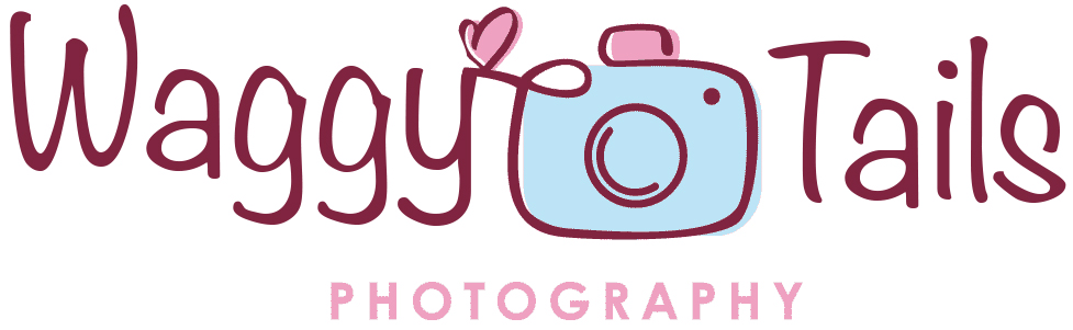 Waggy Tails Photography is a luxury photography studio in Porthcawl, South Wales, offering specialist photoshoots for your lovely pooches!